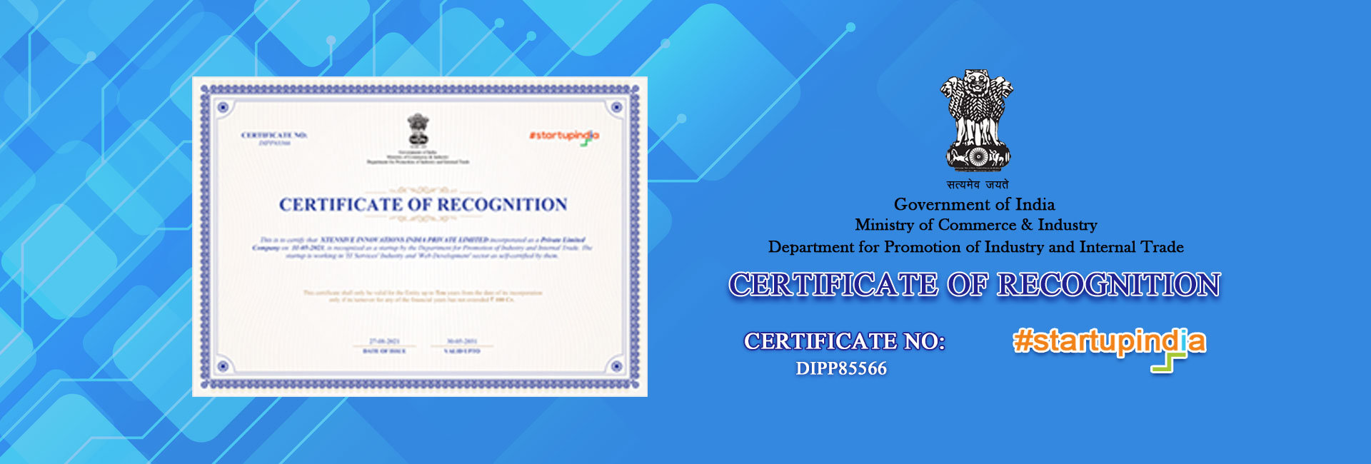 web application service provider company lucknow