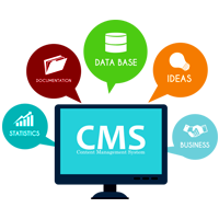 Website CMS